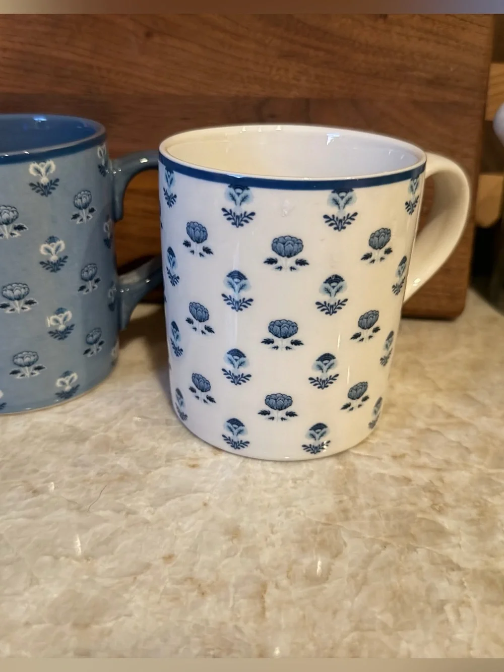 Kravet x Pottery Barn blue and white garden mugs set of two